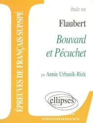 Etude sur Gustave Flaubert, bouvard et pécuchet