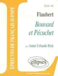 Etude sur Gustave Flaubert, bouvard et pécuchet