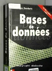 Bases de données, Objets et relationnel