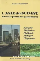 L'Asie du Sud-Est, Nouvelle puissance économique