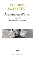 A la lumière d'hiver