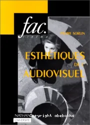 Esthétiques de l'audiovisuel