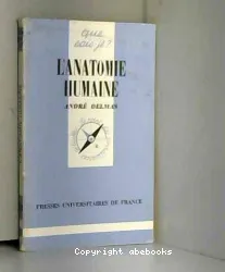 L'Anatomie humaine