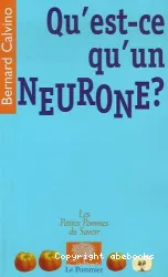 Qu'est-ce qu'un neurone?