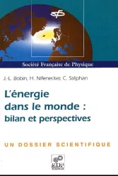 L'Energie dans le monde: bilan et perspectives