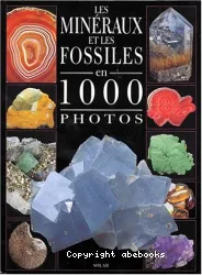 Les minéraux et fossiles en 1.000 photos