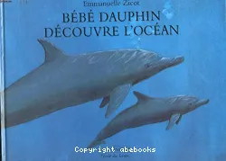 Bébé dauphin découvre l'océan