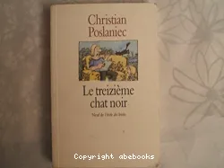 Le Treizième chat noir