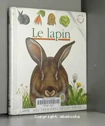 Lapin