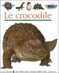 Crocodile