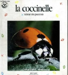 Coccinelle, terreur des pucerons