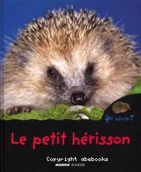 Petit hérisson