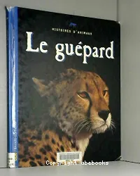 Guépard