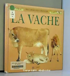 Vache