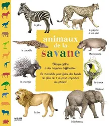 Animaux de la savane