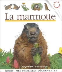 La Marmotte