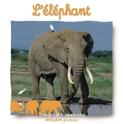 L'Eléphant