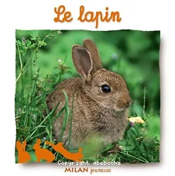 Le Lapin