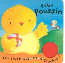 Bébé poussin