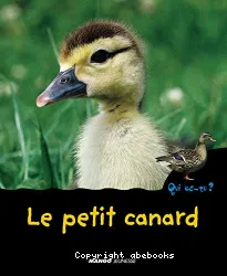 Le Petit canard