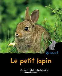 Le Petit lapin