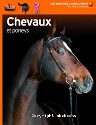 Chevaux et poneys