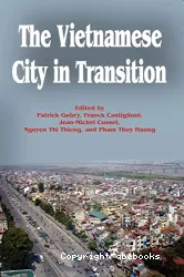 The Vietnamese city in transition