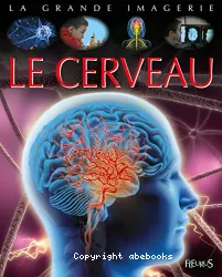 Le cerveau