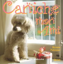 Caniche mon ami