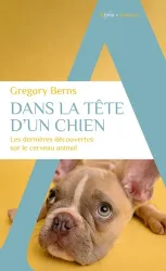 Dans la tête d'un chien