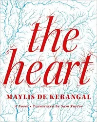 The heart