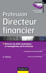 Profession directeur financier