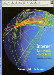 Internet, Le monde en réseau
