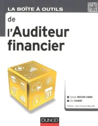 La boîte à outils de l'auditeur financier